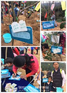 碧桂園植樹節 佩悅傳媒以專業公關策劃，賦能綠色品牌行動